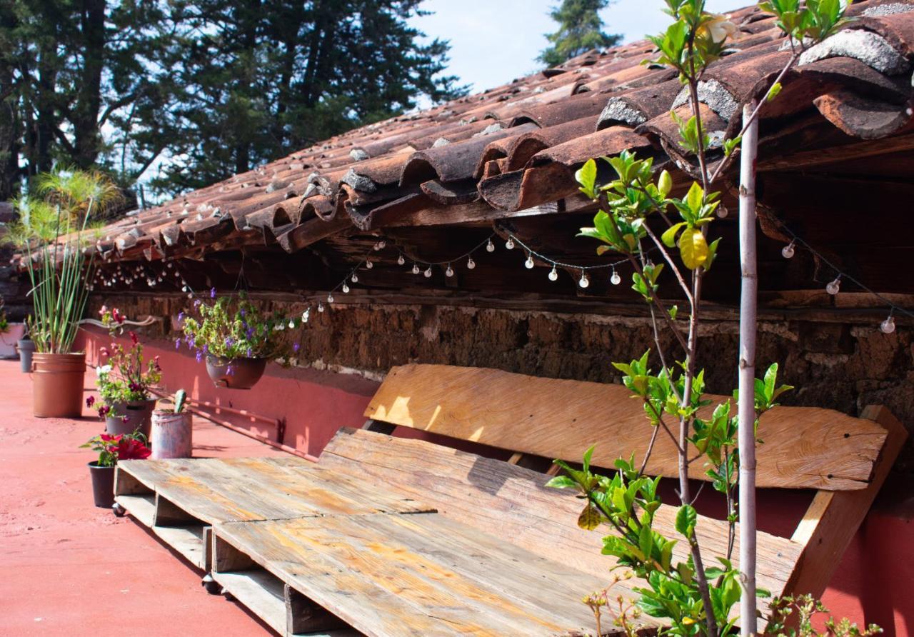 Albergue Boutique 55