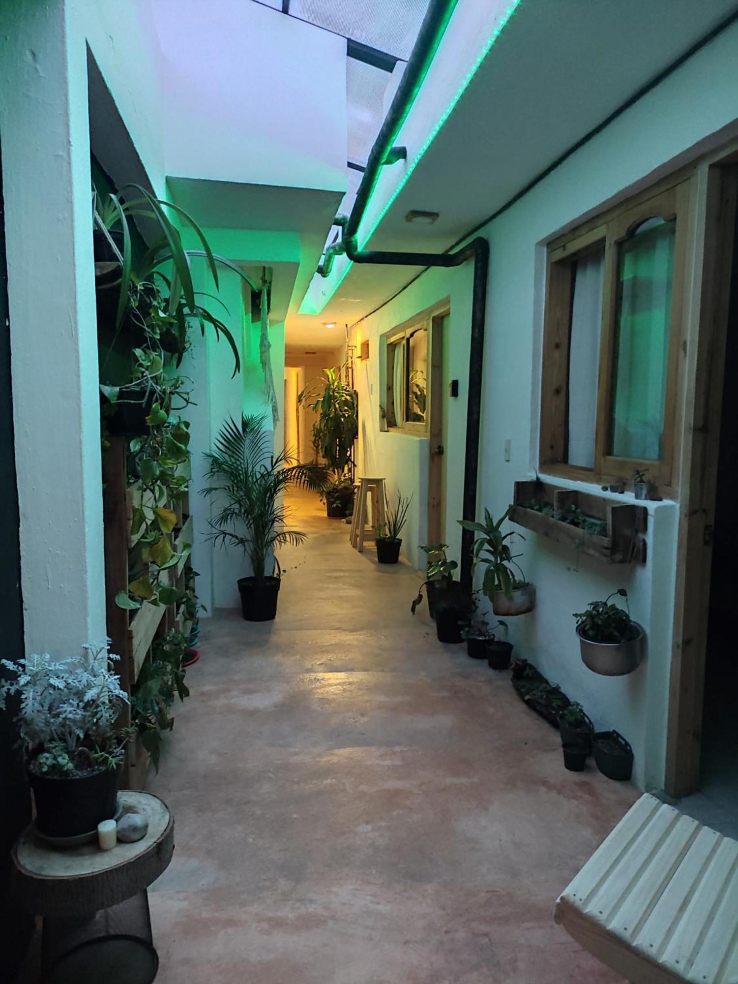 Boutique 55 Albergue *